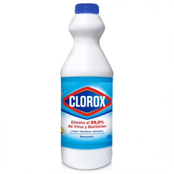 CLOROX REGULAR